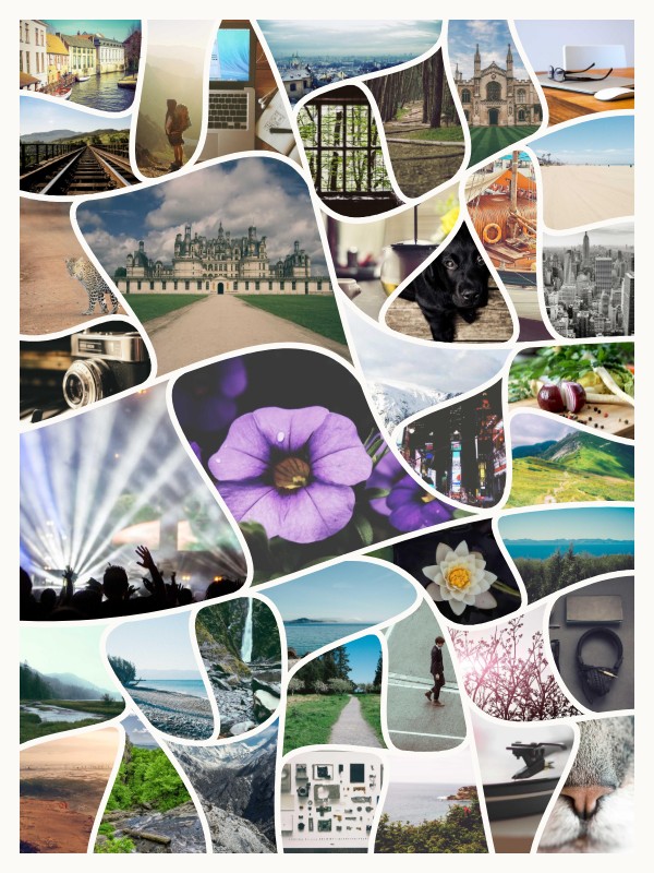 The same photos in the Curves style