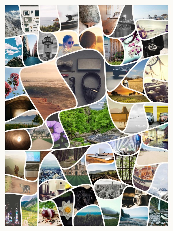 The same photos in the Curves style